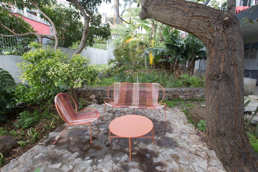 Rochinha Cozy Home Φουνκάλ Εξωτερικό φωτογραφία